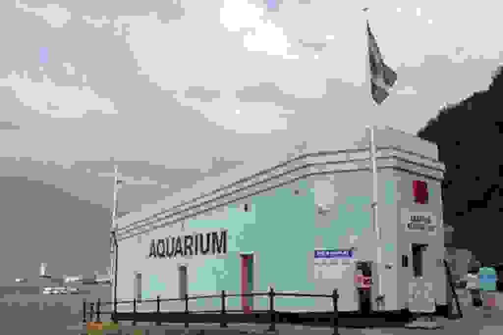 Mevagissey Aquarium Zoos