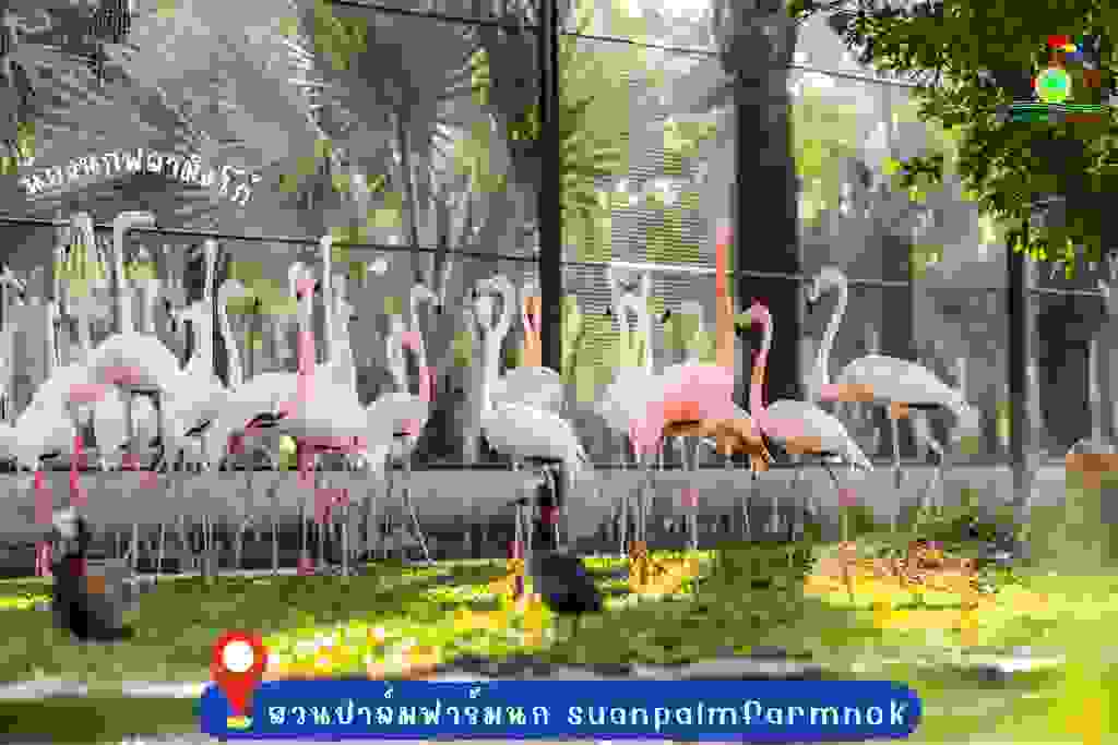 Suan Palm Farm Nok Zoos