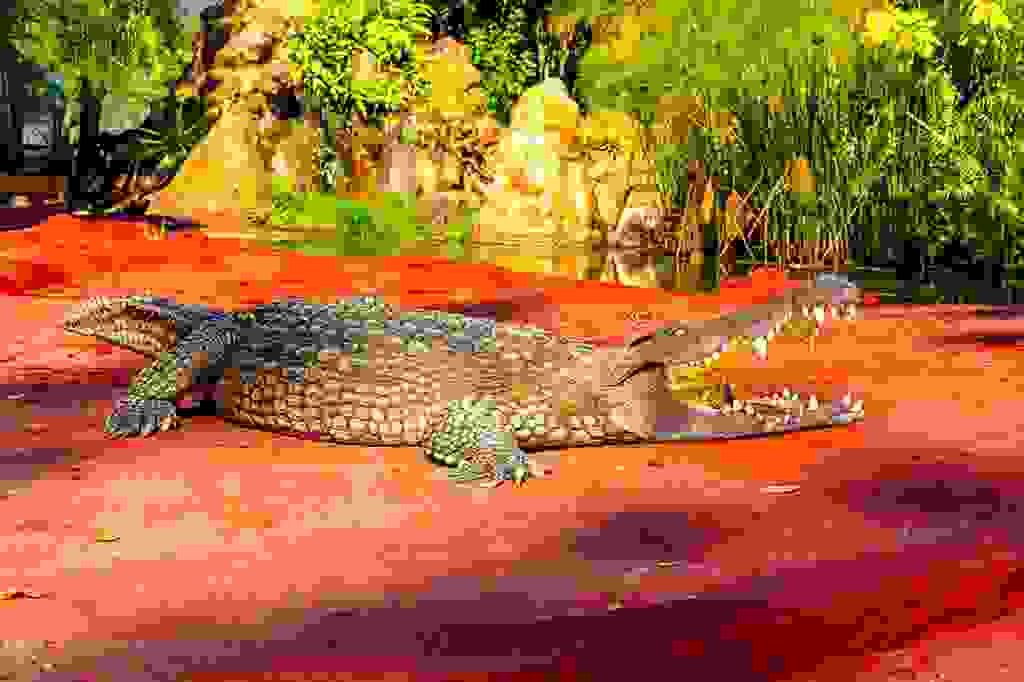 Croc Parc Zoos