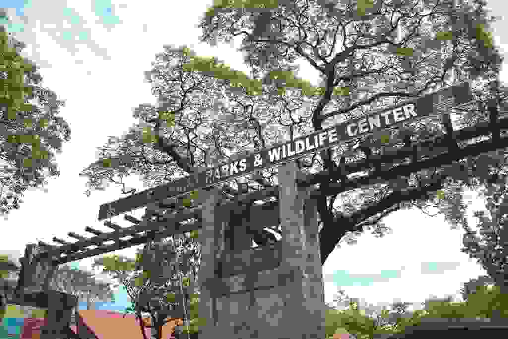 Ninoy Aquino Parks and Wildlife Center Zoos