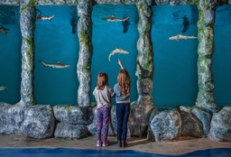 Blue Zoo Aquarium Spokane Logo