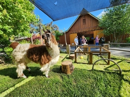 Wildlife Images Rehabilitation and Education Center Logo