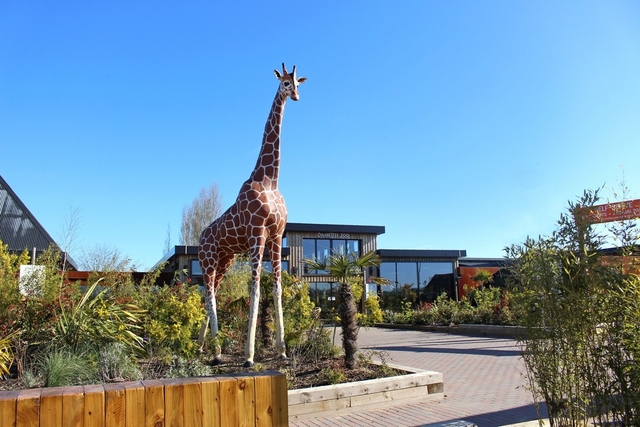 Colchester Zoo Logo