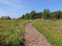 Rowsom's Tilbury West Conservation Area Logo