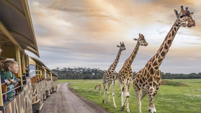 Werribee Open Range Zoo Logo