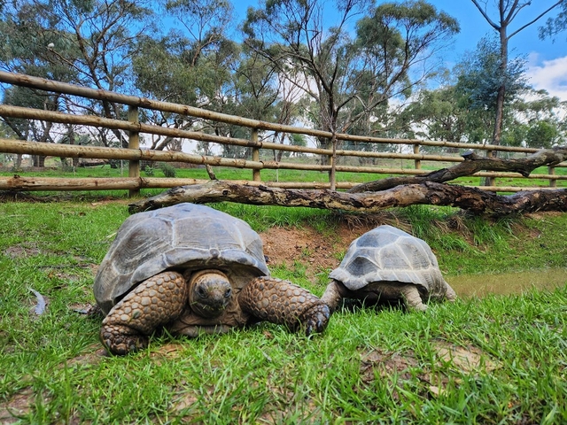 Gorge Wildlife Park Logo