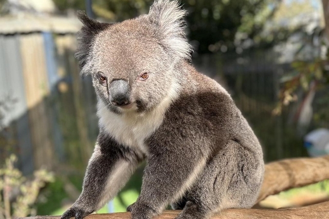 Urimbirra Wildlife Park Logo