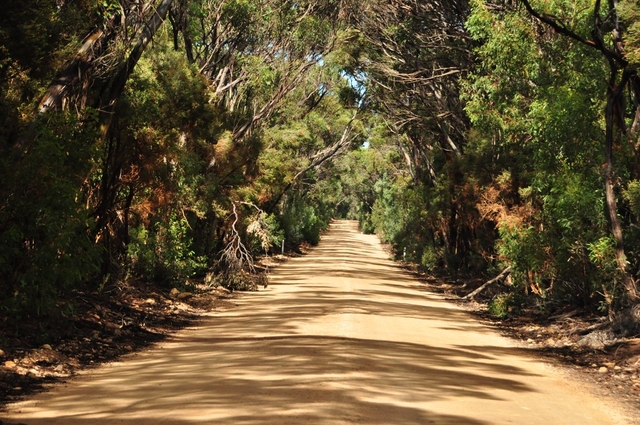 Hanson Bay Wildlife Sanctuary Logo