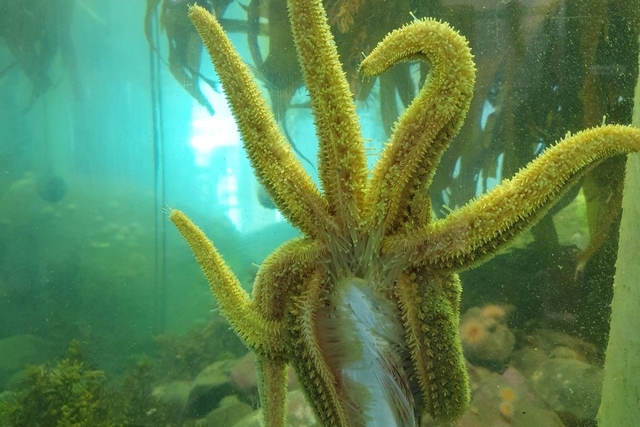 Island Bay Marine Education Centre-Bait House Aquarium Logo