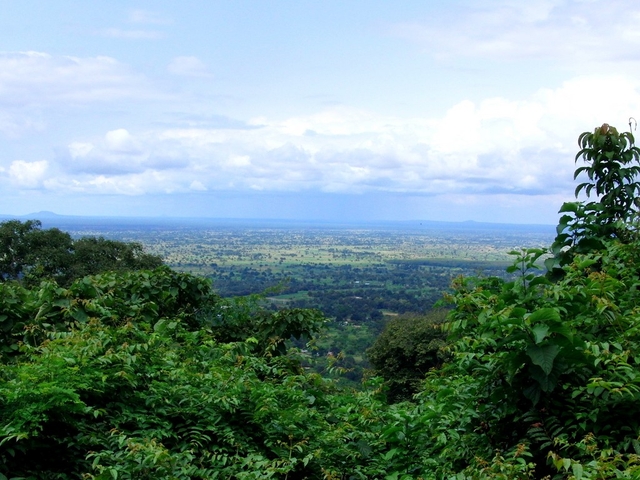 Udzungwa Mountains National Park Logo