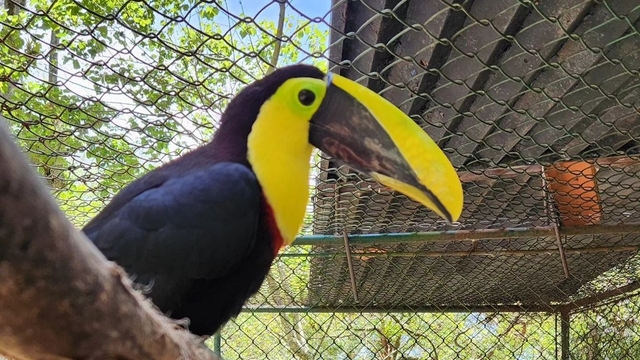 Parque Zoológico Chorros de Milla Logo