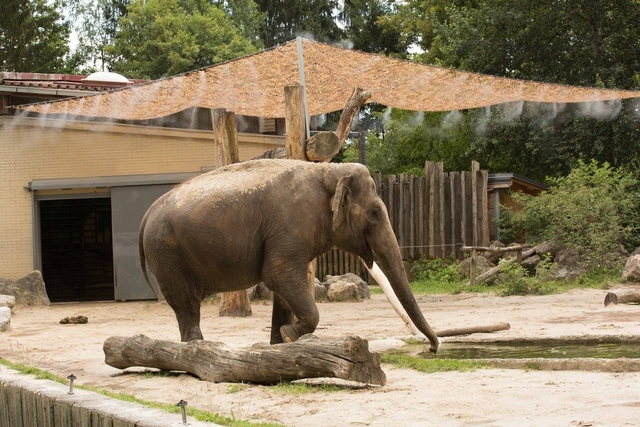 Ljubljana Zoo Logo