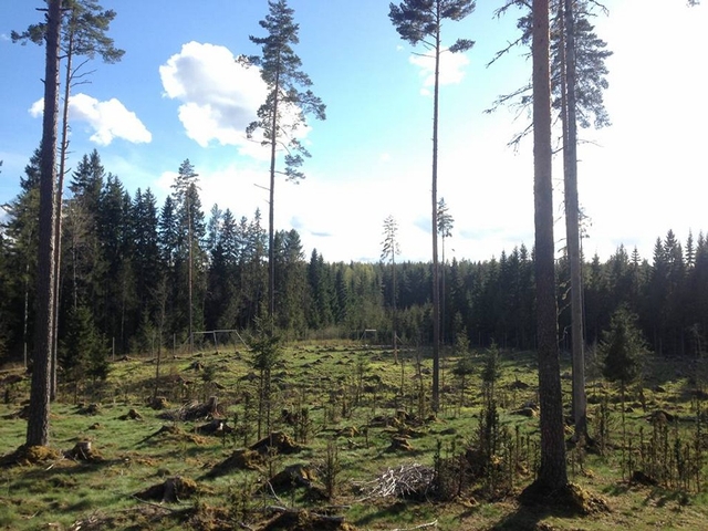 Värmlands Moose Park Logo