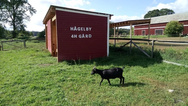 Hågelby 4H Gård Logo