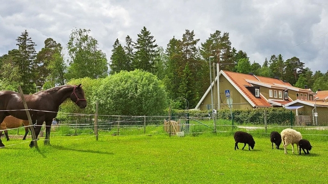 Vallentuna 4H Gård Logo