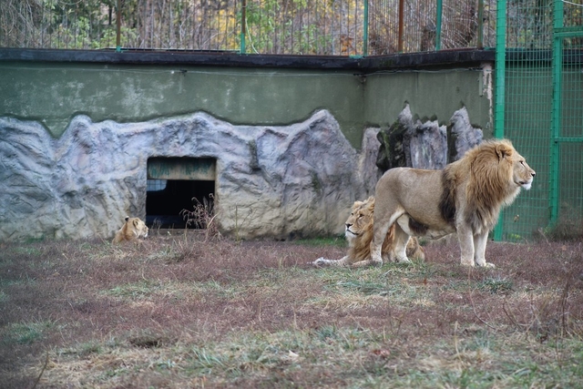 Grădina Zoologică Bucov (Ploiești) Logo