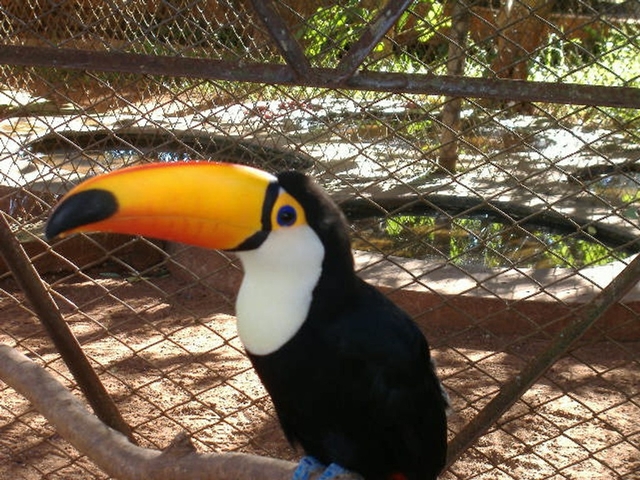 Zoológico de Itaipú Logo