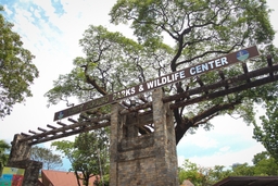 Ninoy Aquino Parks and Wildlife Center Logo